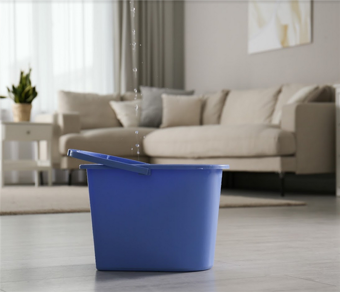 a bucket on the floor of a living room catching water leaking from the ceiling